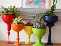 Pillar Box Blue Colourful Bowls
